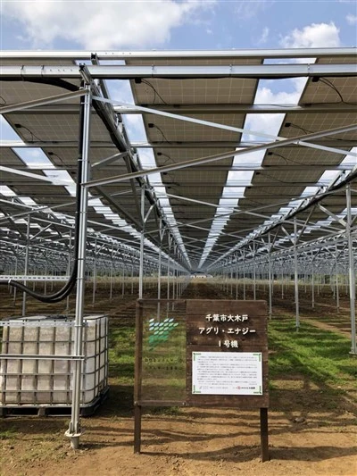 Solar agrivoltaics monteringssystem